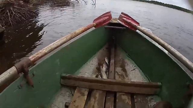 РЫБАЛКА НА ХИЩНИКА/РЫБАЛКА ОТ ПЕРВОГО ЛИЦА/РЕКА ВЫЧЕГДА смотреть онлайн