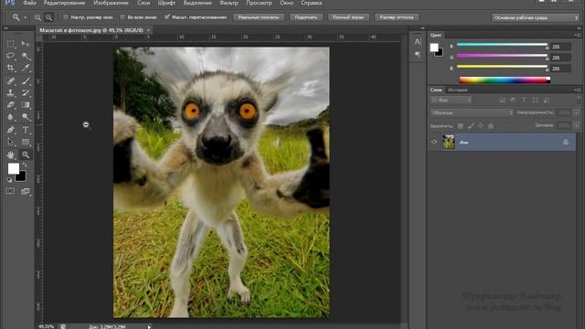 Как изменить масштаб фотографии (метод перетаскивания) смотреть онлайн