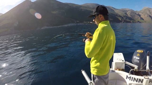 Light Jigging con esca viva: Helix 12 Chirp Msi+ Gps G4n смотреть онлайн