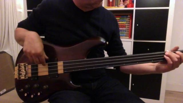 Ibanez Musician смотреть онлайн