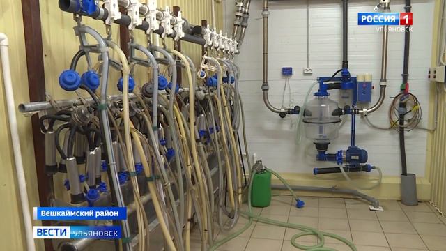 Губернатор посетил крестьянско-фермерское хозяйство в селе Бекетовка в Вешкаймском районе смотреть онлайн