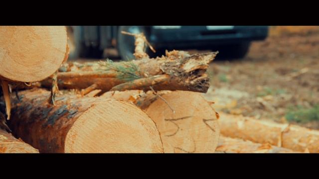 В Тайге...
#Братск #Тайга #Bratsk #Taiga