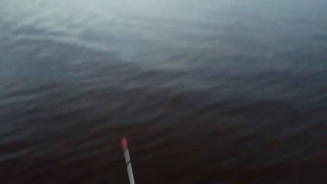 ПЕРВЫЙ НАЛИМ В ЭТОМ ГОДУ 25 09 2021 смотреть онлайн
