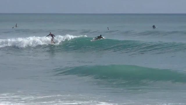 Coral Cove 3-11-2023 смотреть онлайн