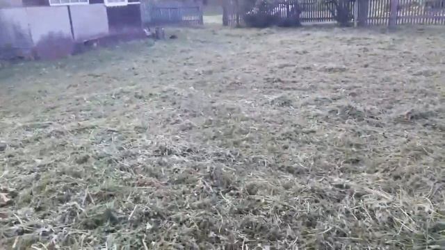 Мотокоса Shtil FS 55 и леска Huter смотреть онлайн