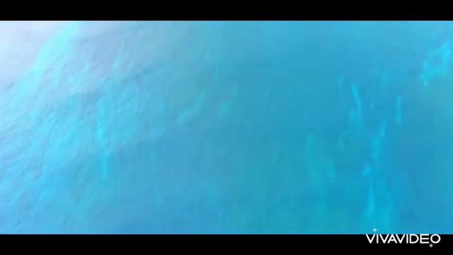 THE MOST BEAUTIFUL UNDERWATER WATERFALL 💦💦💦💦Mauritius смотреть онлайн