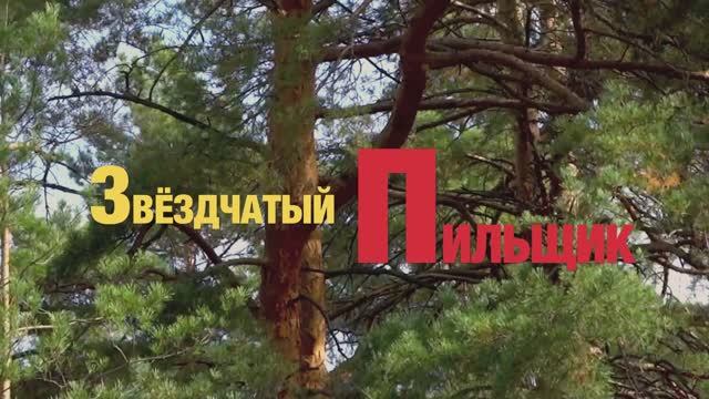 Звёздчатый пильщик смотреть онлайн