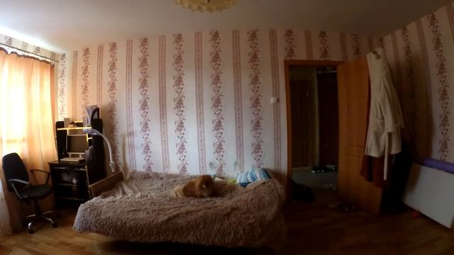 ЧТО ДЕЛАЕТ СОБАКА КОГДА НИКОГО НЕТ ДОМА?! СКРЫТАЯ КАМЕРА