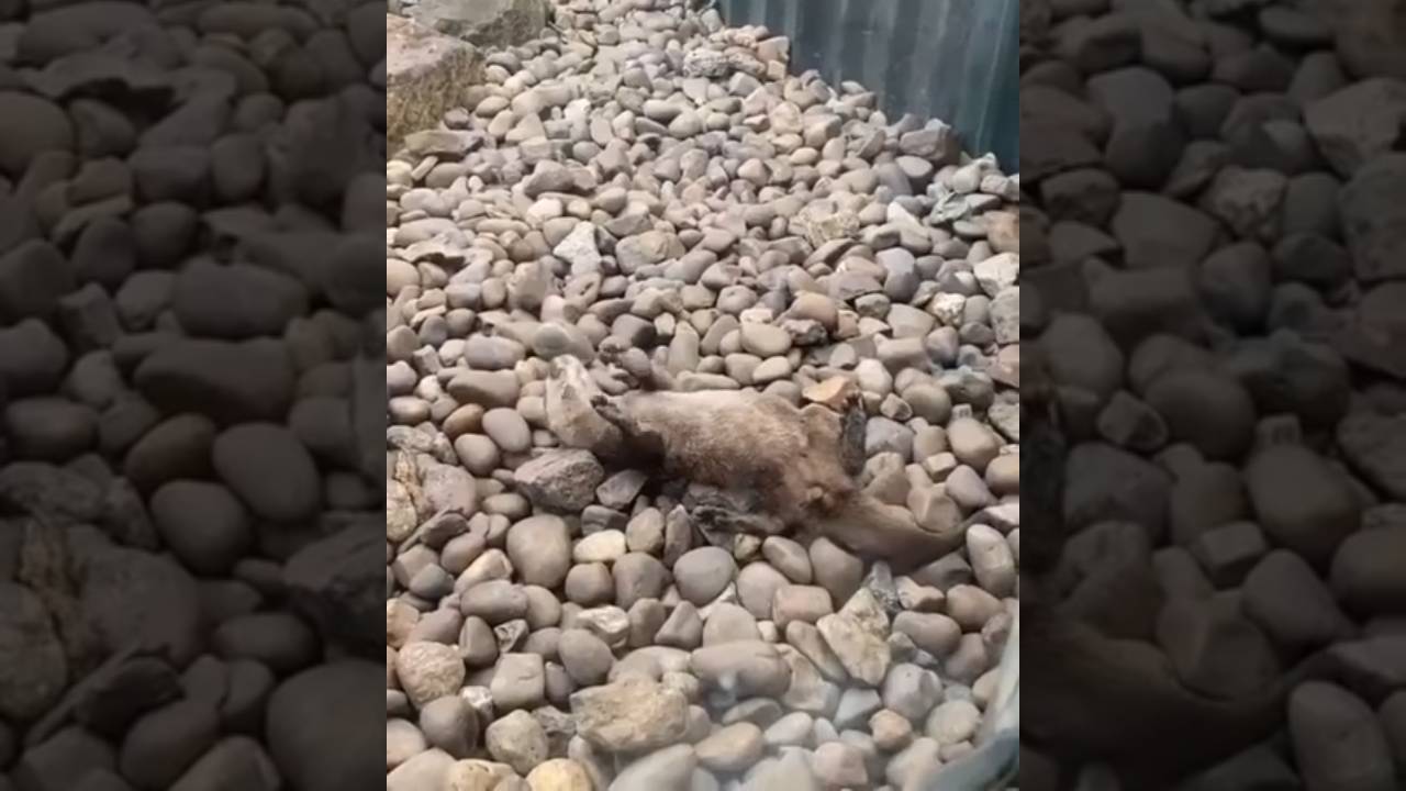 Пока на расслабоне, на чилле смотреть онлайн