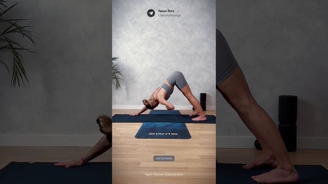 Собака мордой вниз смотреть онлайн