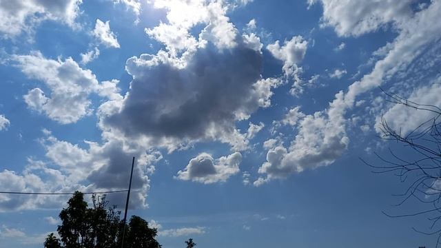 "Хозяюшка" производитель "Золотые ручки" отчет №2 смотреть онлайн