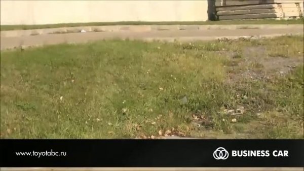 Система Crawl Control