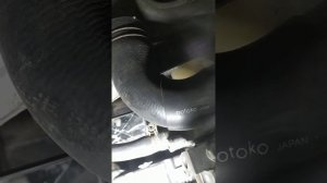 демонтаж тнвд с двс 4M51