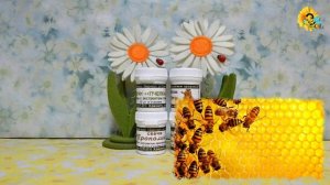 Натуральные фитосвечи