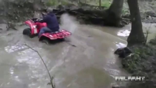 Докривлялась