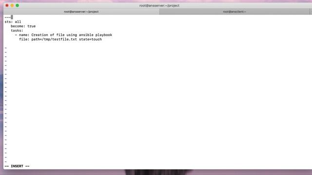 Create file and directory using ansible playbook смотреть онлайн