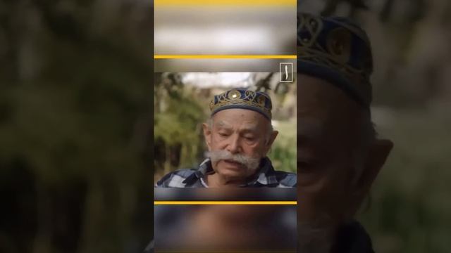 Палестинцы тер*ористы? Факты об Израиле. #freepalestine смотреть онлайн