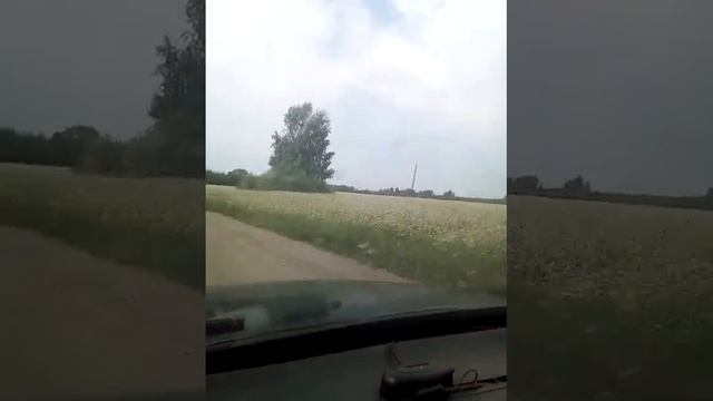 Кочевка на гречку 2021 смотреть онлайн