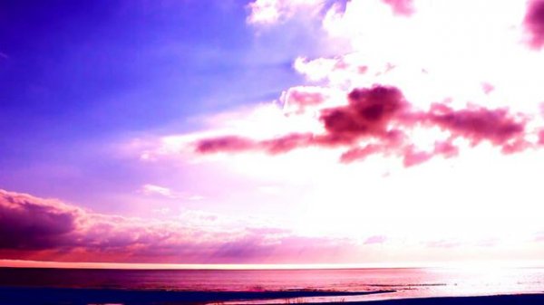 Electro Fusion / Euphoria Vol  15