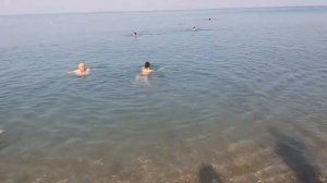 Пляж базы отдыха Скиф в Крыму. Посёлок Николаевка, пляжи Николаевки.