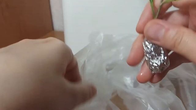 Свежесрез по почте: отправка и получение черенков смотреть онлайн