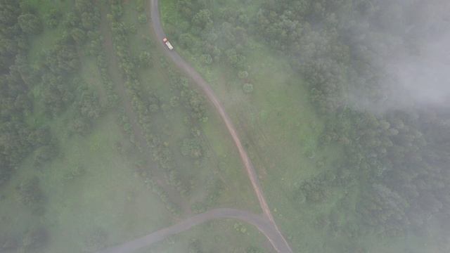 Пасека Матюшкиных в тайге Таштагольского района, Горная Шория. Сибирская липа, дягилевый мёд смотреть онлайн