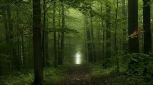 ЛУЧШАЯ МЕДИТАЦИЯ ПЕРЕД СНОМ!