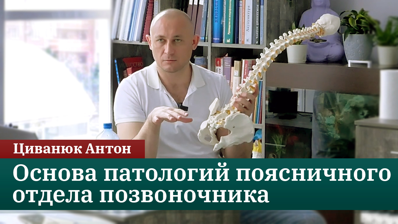 Копчик — основа патологий поясничного отдела позвоночника. Циванюк Антон смотреть онлайн