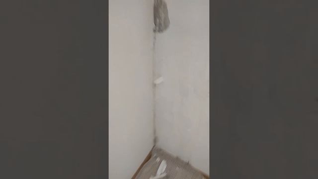 Ремонт в моментальном режиме