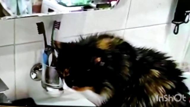 Утро начинается с чистки зубов.