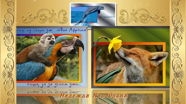 05.2018 фш Экспресс Курс 11 выпуск МИАМ смотреть онлайн