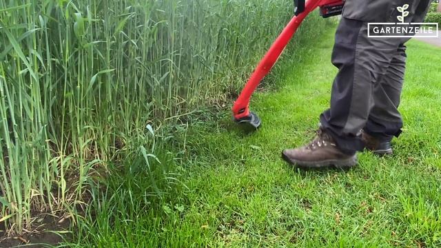 Einhell Akku Rasentrimmer GC-CT 18/24 Li P-Solo Im Test! Unser FAZIT Zum Einsteiger-Rasentrimmer!