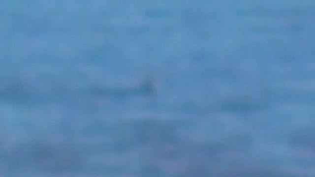 Fishman смотреть онлайн