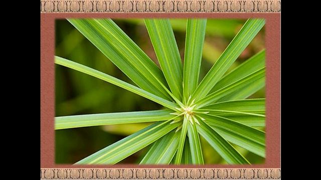 Исторический экскурс "Все начиналось с таблички, свитка, бересты" смотреть онлайн