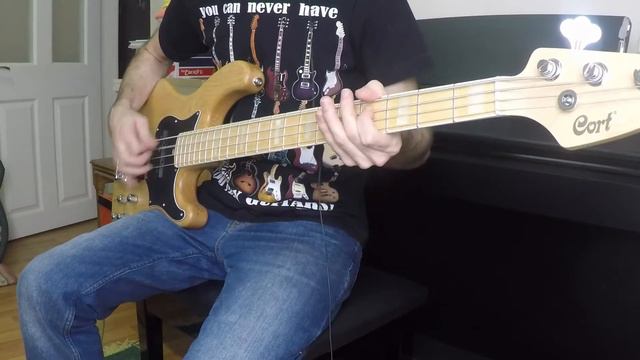 blink 182 - Story of a Lonely Guy [ Guitar & Bass cover ] смотреть онлайн