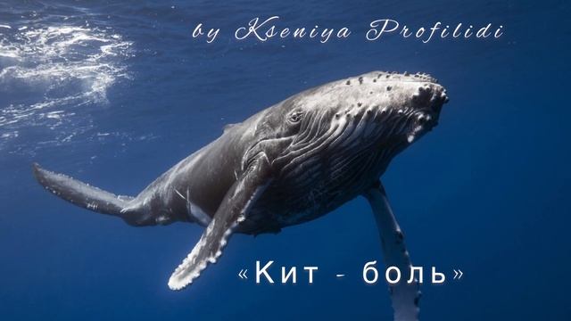 Стихотворение из глубины Души про КИТА/ Ксения профилиди смотреть онлайн