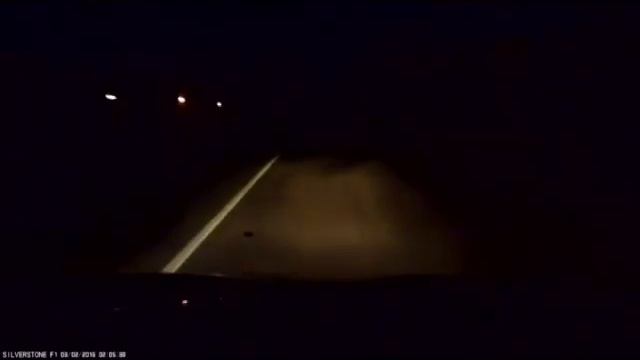 Сбитый лось в Заречном Пензенской области смотреть онлайн