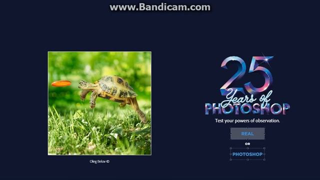 Второе видео | Фотошопу 25 лет (Саша) смотреть онлайн