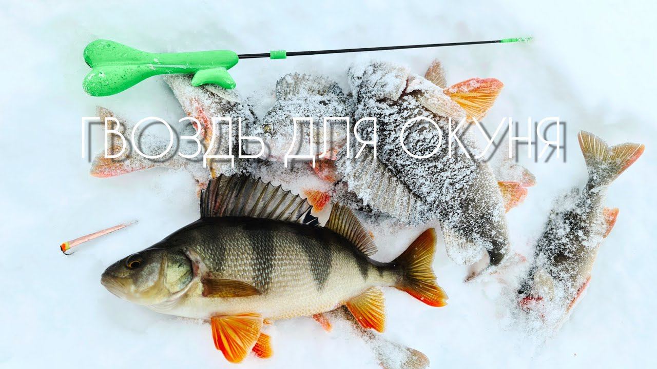 ГВОЗДЬ для ОКУНЯ / БЛЕСНЫ ПРОЩЕ не БЫВАЕТ !? #окунь #блеснагвоздь #perch #pike смотреть онлайн