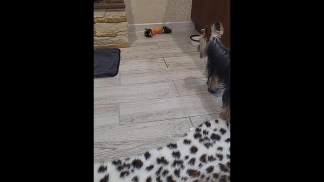 Знакомство.mp4