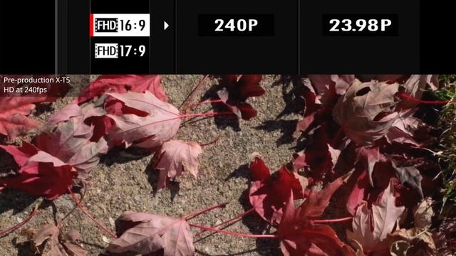 A New Chapter for the X Series: Fujifilm X-T5 First Look (plus a new macro lens) смотреть онлайн
