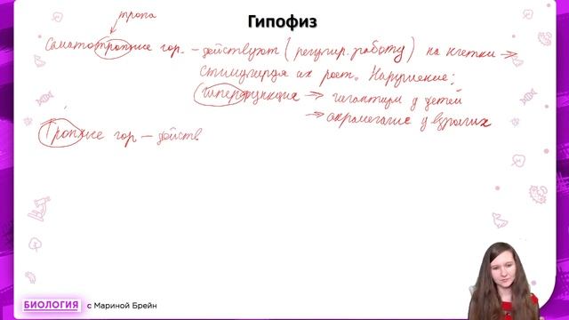 Гуморальная система