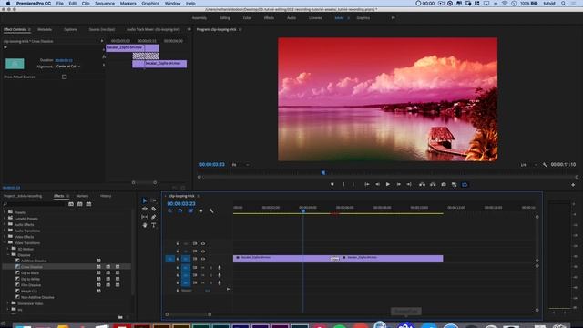 Create A Perfect Video Loop In Premiere Pro