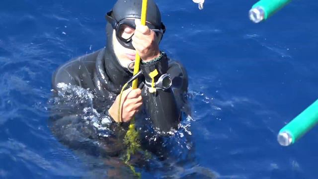 KAŞ BAŞKA FREE DIVING WORLD CUP 3. GÜN смотреть онлайн