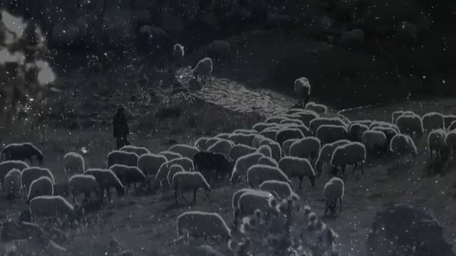 Σκαρος - Κωσταντης Πιστιολης смотреть онлайн