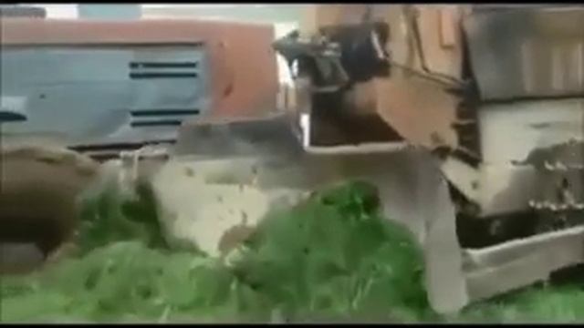 Лебедь,рак и щука! смотреть онлайн