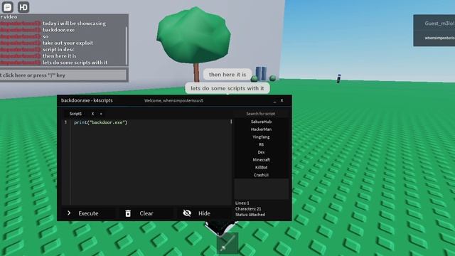 Backdoor.exe  Showcase