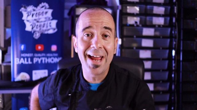 Ball Python Social Media Marketing Machine - My Strategy смотреть онлайн