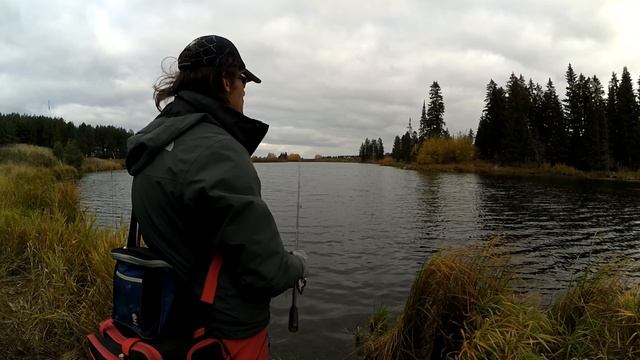 Супер уловистый монтаж для ловли щуки. смотреть онлайн