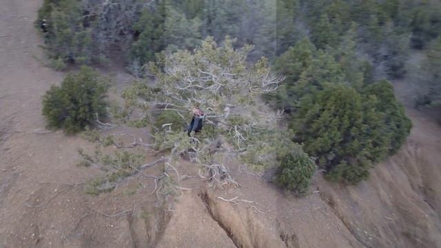 Можжевеловая роща в КАНАКЕ 2021 смотреть онлайн